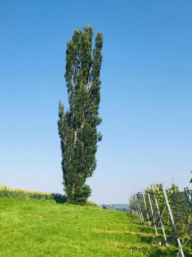 Landvilla Sinelia Premium Dietersdorf am Gnasbach Exterior foto
